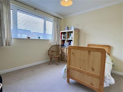 Picture 13